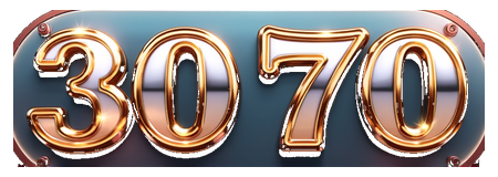 3070 logo
